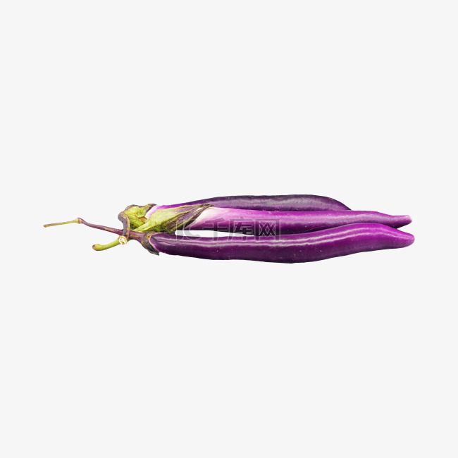 紫色蔬菜长茄子