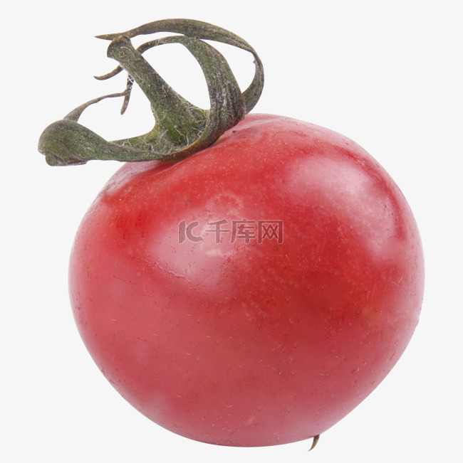 红色小西红柿元素