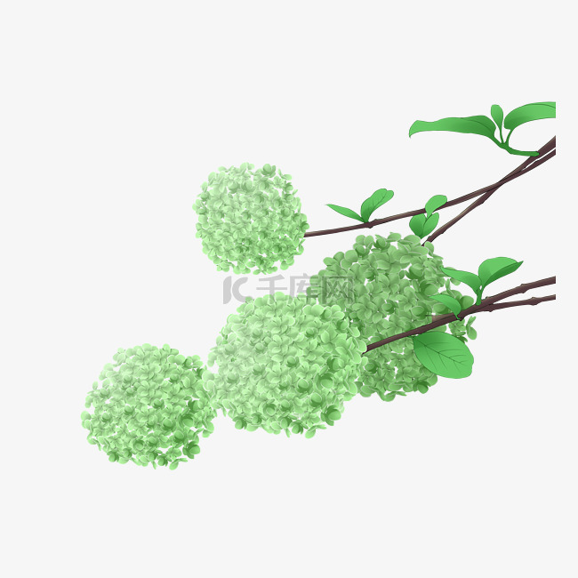 绿色花朵花簇插画
