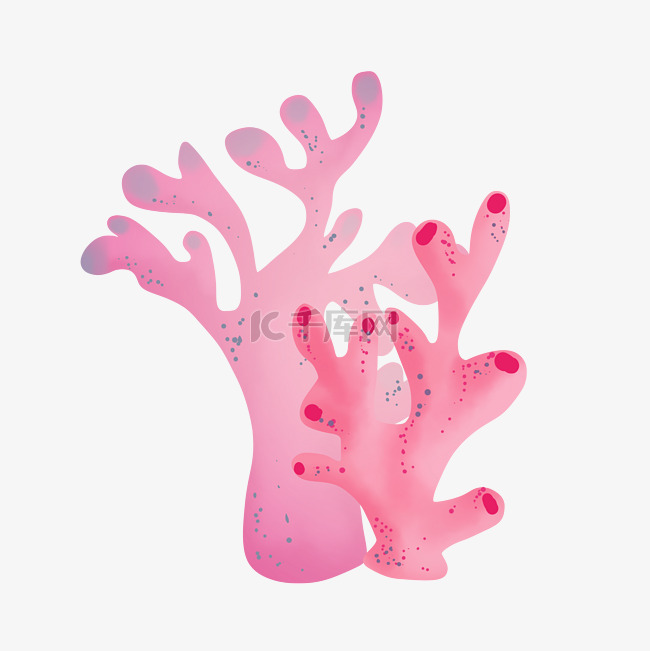 美丽粉色海草珊瑚