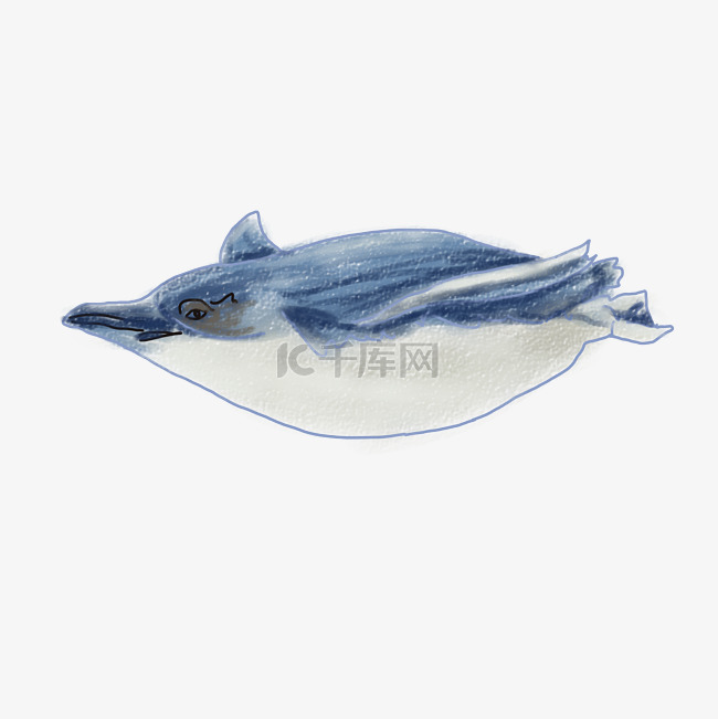 海底生物鲸鱼