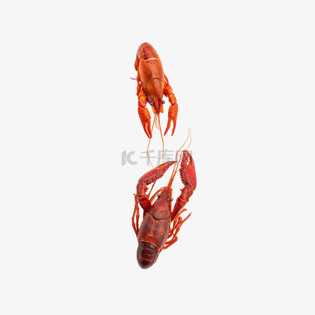 红色龙虾装饰