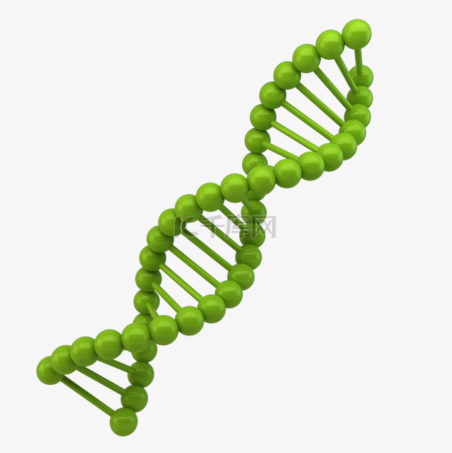 DNA环保植物细胞
