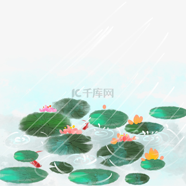 雨水荷叶叶子