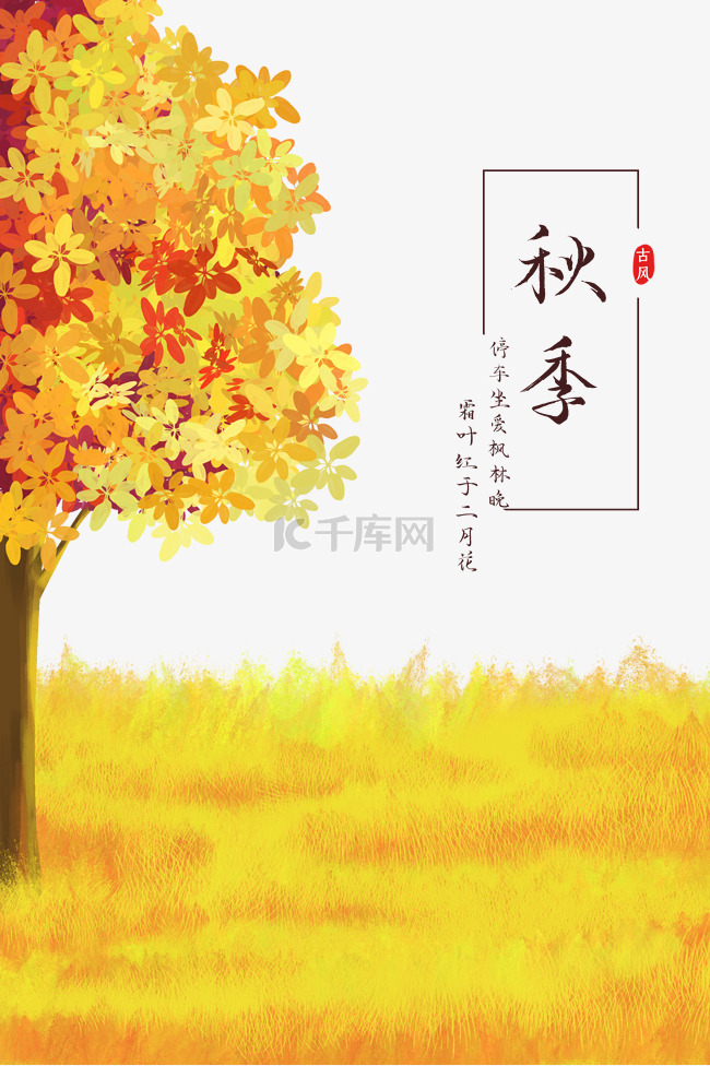 秋季黄色树木风景