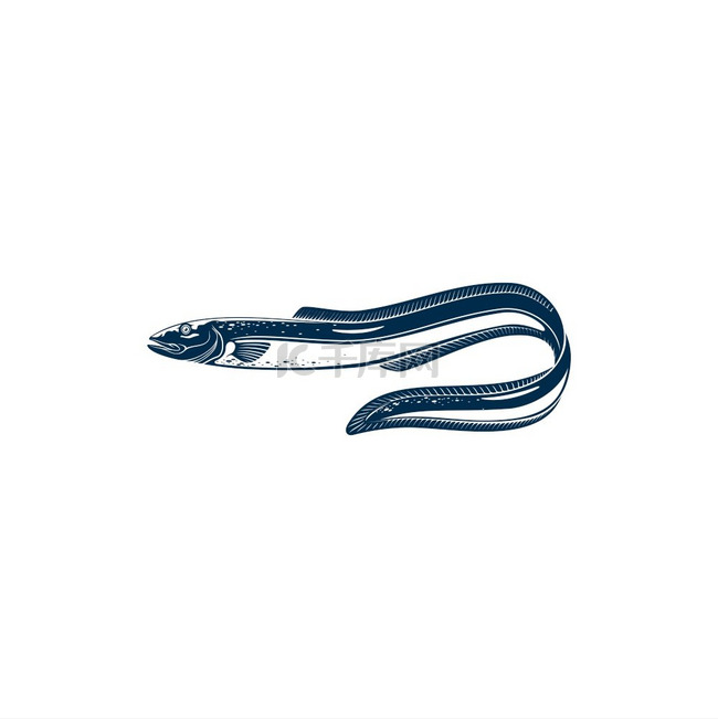鳗鱼形状的鱼孤立的单色图标矢量
