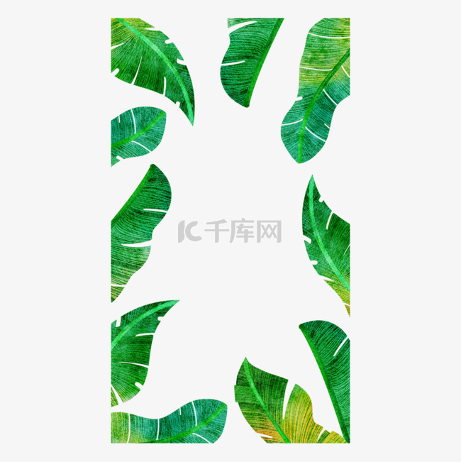 边框水彩植物instagram