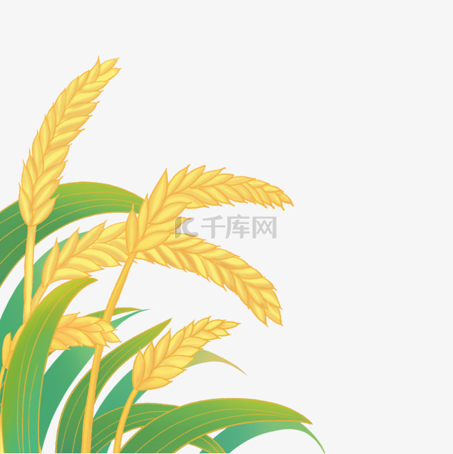 国潮风节气芒种水稻