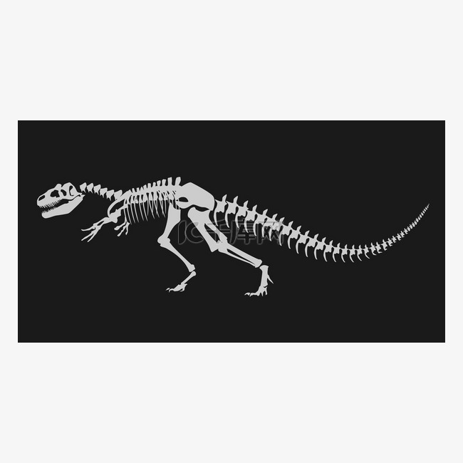 恐龙骨骼的插图