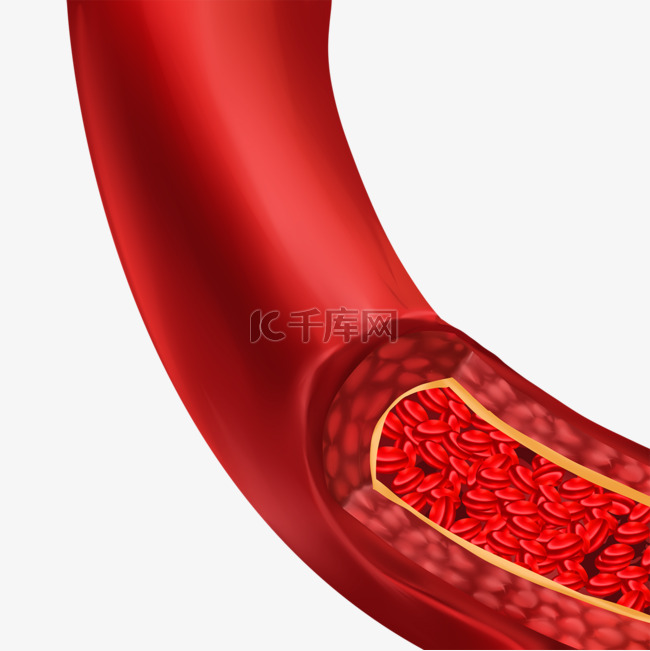 人体红色血管医学插图