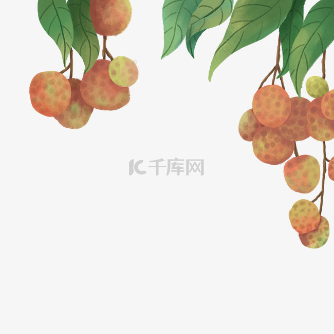 夏季荔枝水果