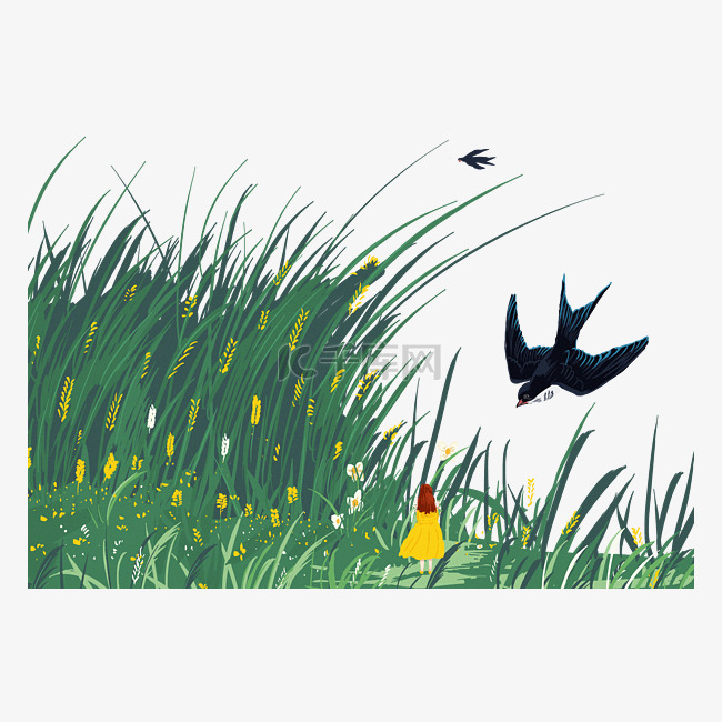 春天春分绿色草地燕子