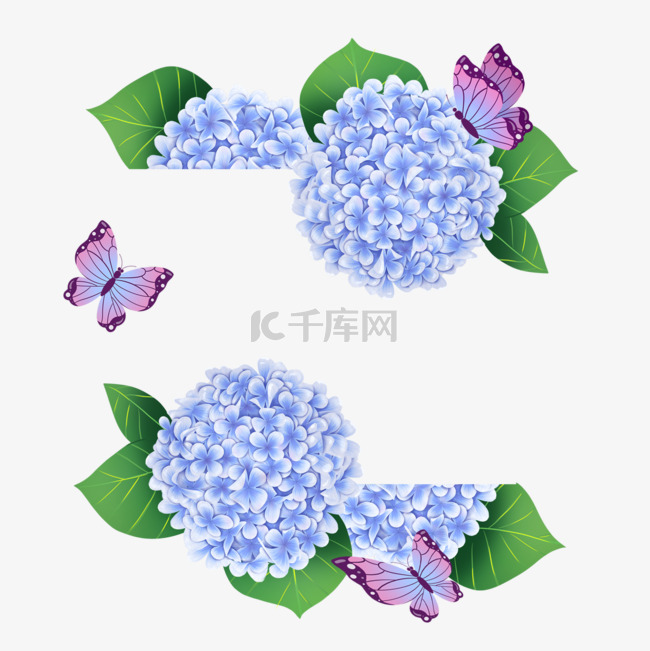 绣球花卉水彩蝴蝶蓝色边框