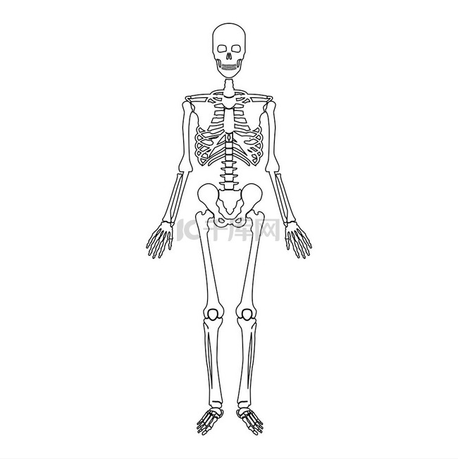 骨架人体轮廓轮廓线图标黑色矢量