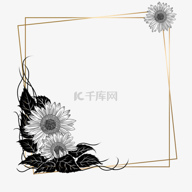 素描向日葵花卉金线线条边框