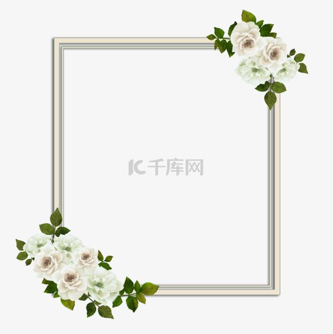 玫瑰花植物花卉白色长方形边框