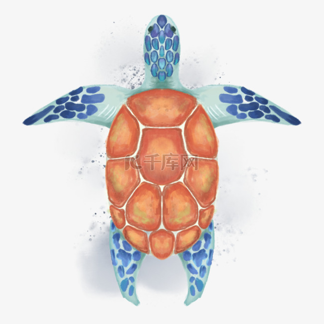 海龟动物水彩风格