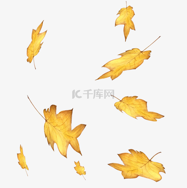 秋天落叶
