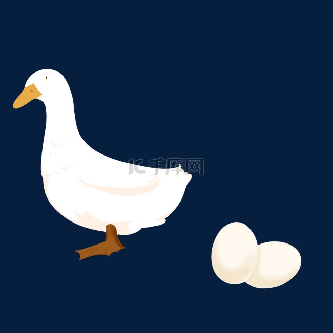 卵生动物鸭子卵