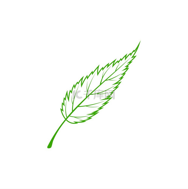 绿叶孤立的轮廓植物符号矢量植物
