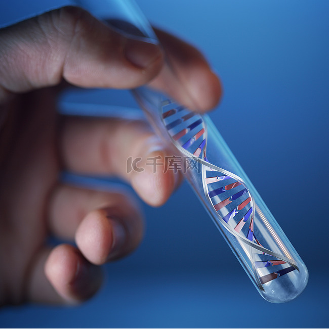 dna 分子在试管中