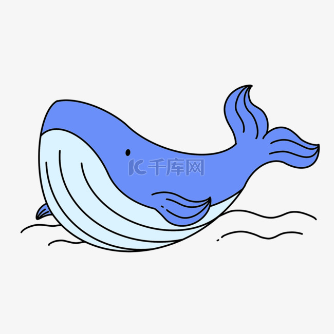 大海可爱鲸鱼蓝色海洋海底生物