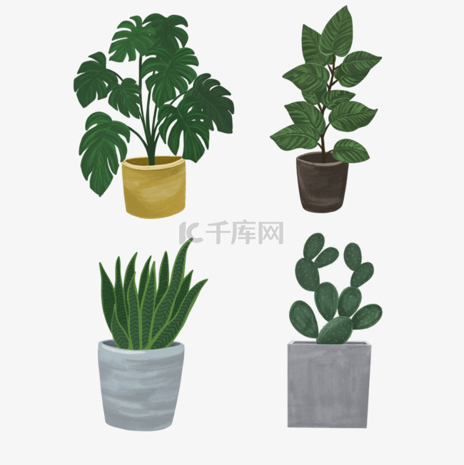 室内植物盆栽剪贴画