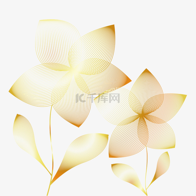 金色描线花朵花瓣