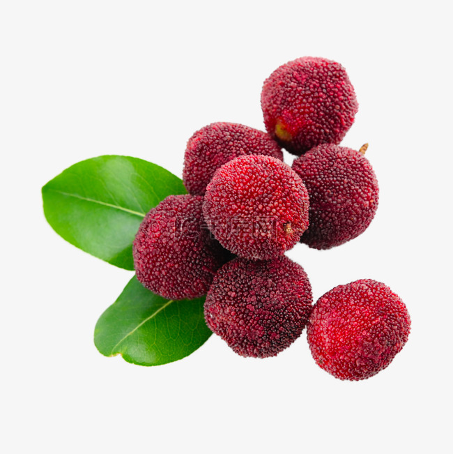 杨梅新鲜红色健康浆果
