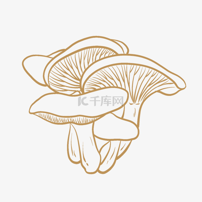 线描线稿蔬菜蘑菇