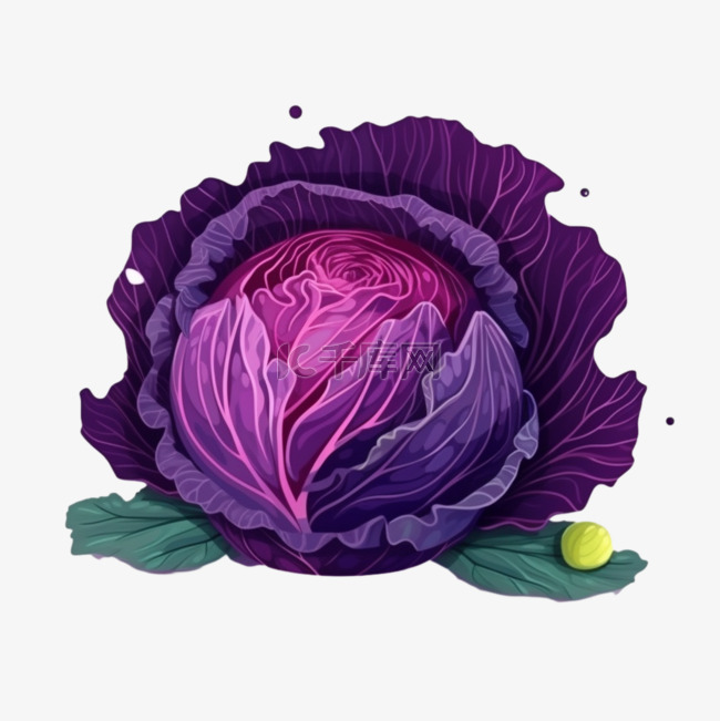手绘卡通蔬菜紫甘蓝