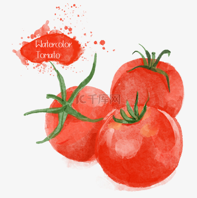 西红柿三个水彩蔬菜水果