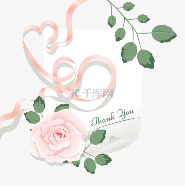 韩国花卉感恩月粉色郁金香花朵