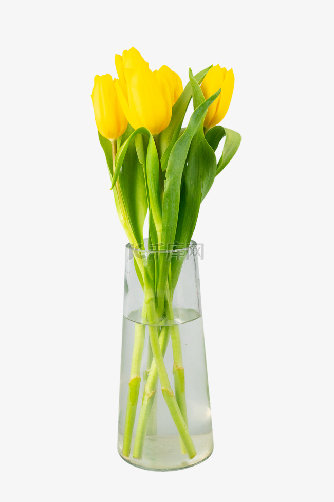 黄色郁金香花瓶