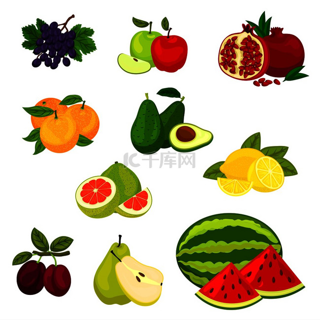 水果图标分离的病媒新鲜水果葡萄