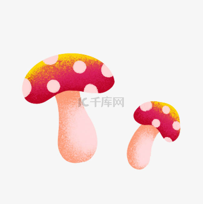 植物蘑菇