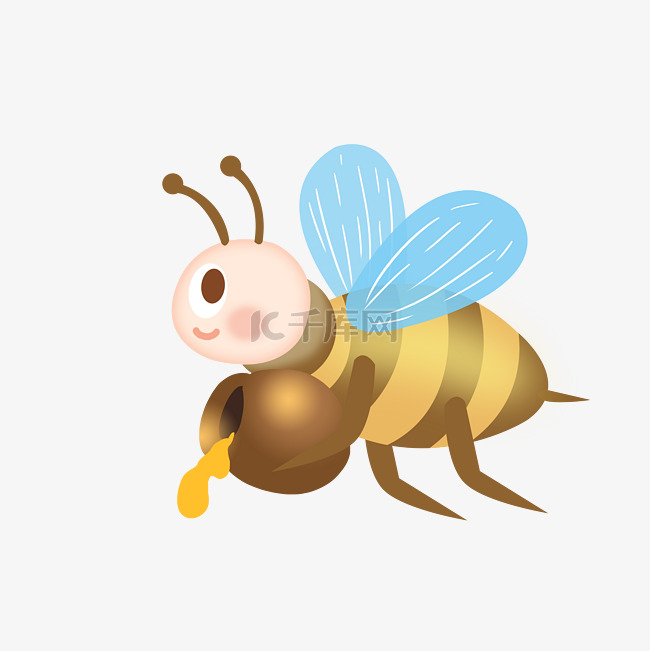 采花蜜蜜蜂