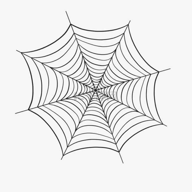 蜘蛛丝蜘蛛网细丝黑色线条