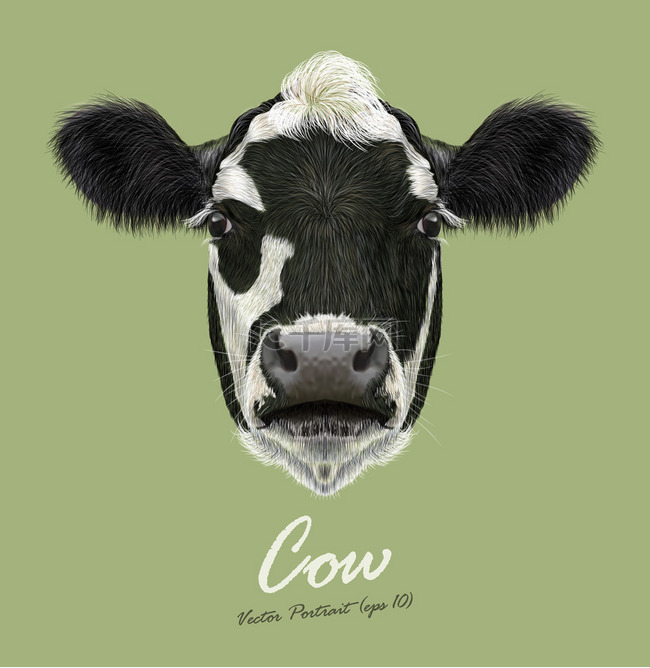 牛农场动物脸。向量可爱农业牛头
