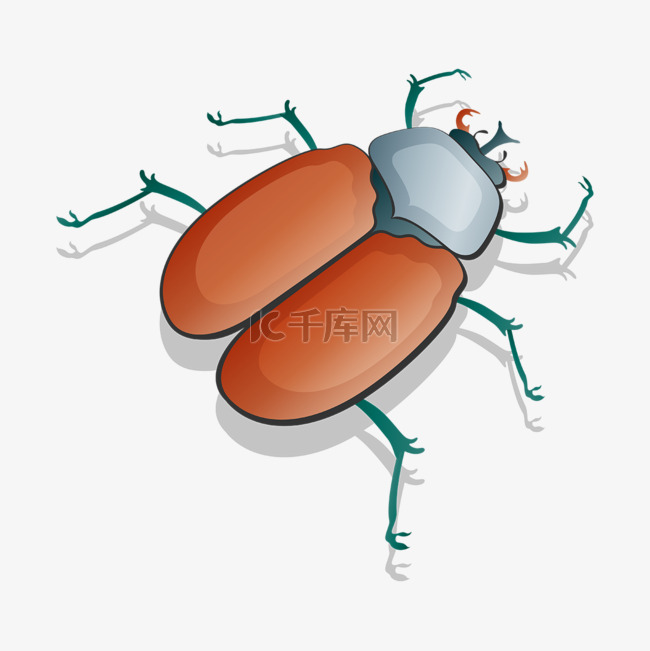 咖啡色甲虫剪贴画