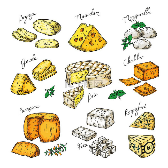 手绘奶酪涂鸦开胃菜和食物片不同