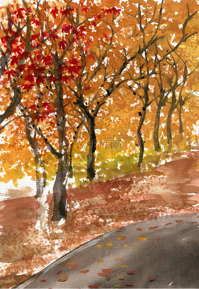 路旁的秋树林