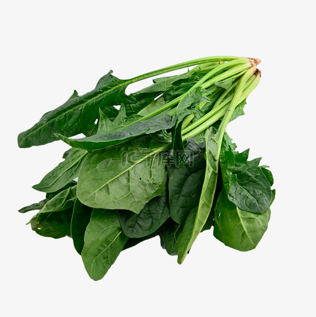 菠菜维生素饮食植物