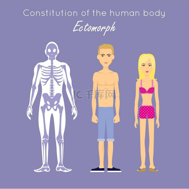 人体构成电子照相外生的人体的构