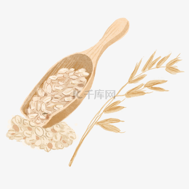 燕麦水彩风格粗粮
