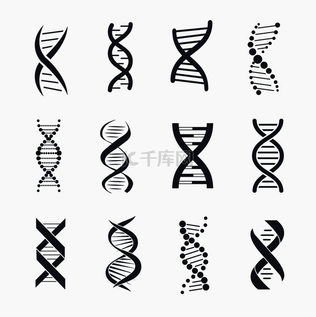 Dna 不同的图标集，一种分子