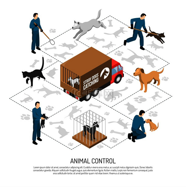 动物控制机构服务的等距海报上有