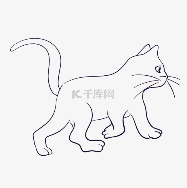 猫