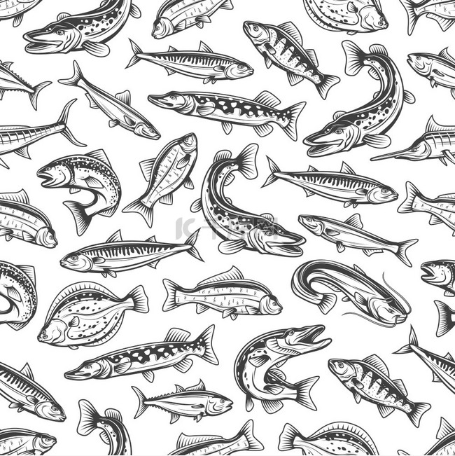 海鱼和河鱼的无缝图案派克鱼鲤鱼