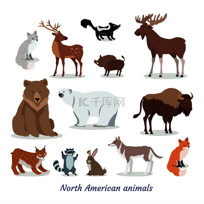 北美动物卡通套装在白色背景上分